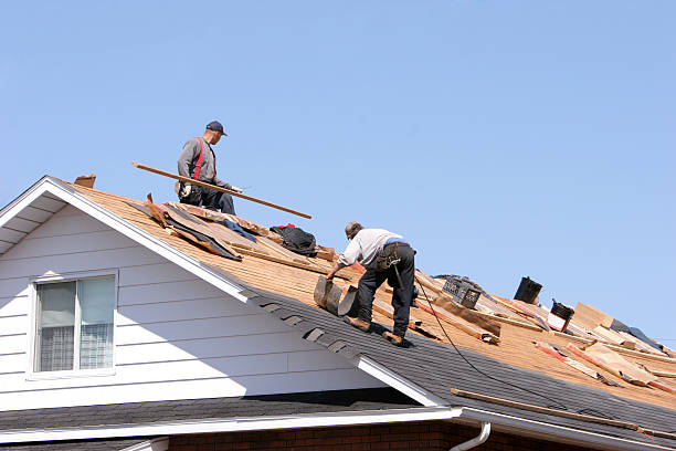 Best Roof Coating and Sealing  in Saratoga, CA